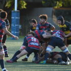- San Roque Rugby - San Roque Rugby